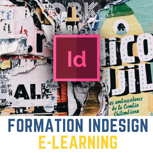 Formation InDesign initiation en e-learning
